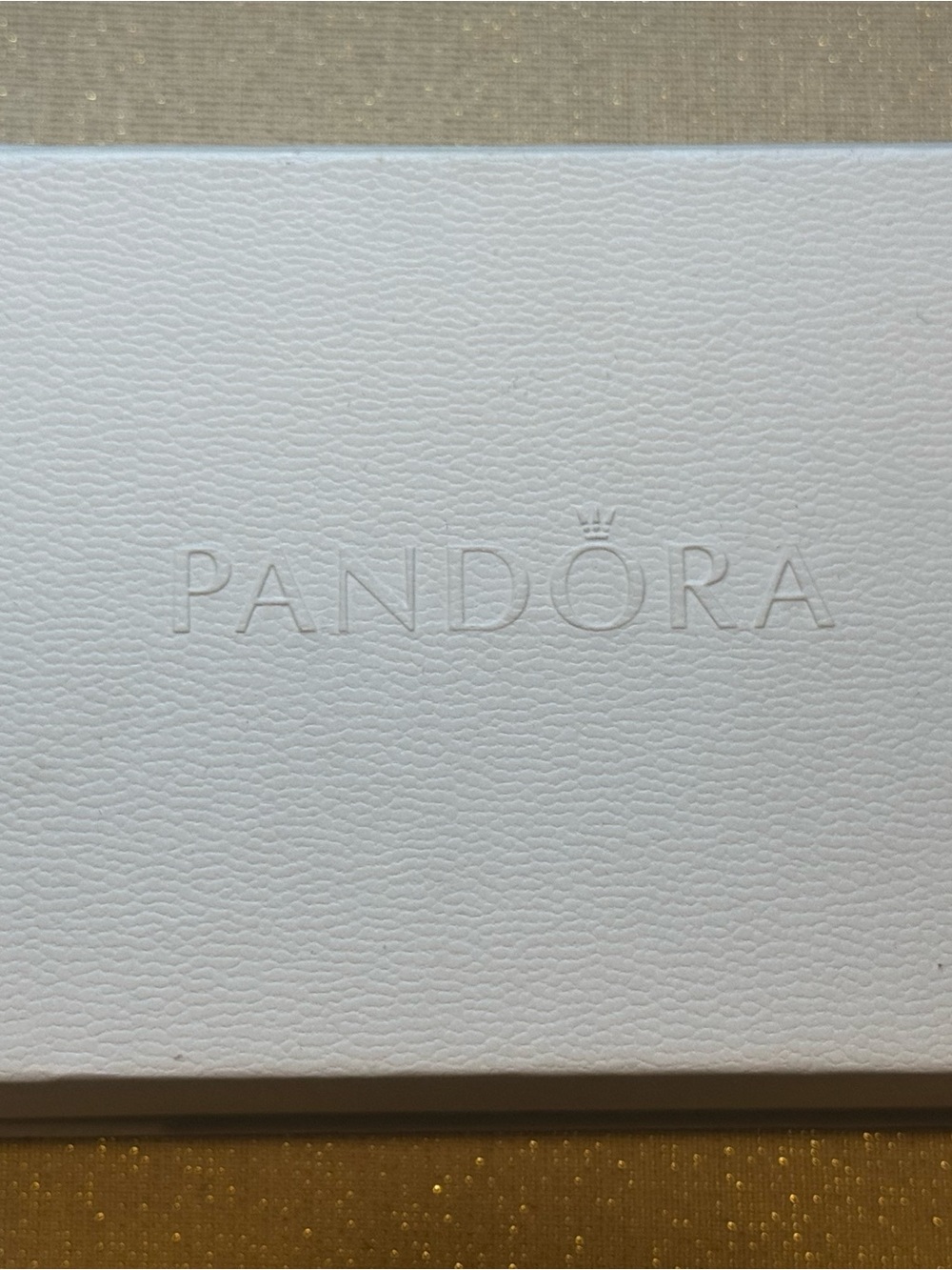 Pandora Cleaning Kit & Charm Opener
